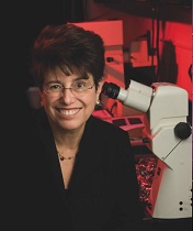 Cheryl F. Dreyfus