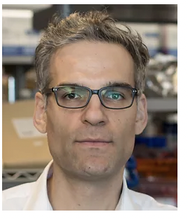 Nicholas Stavropoulos, PhD