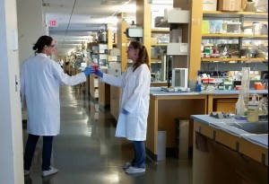 Sharing materials between lab members