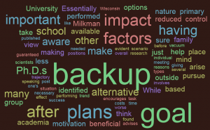 backup plan word cloud