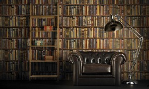 Library with a book ladder and lamp