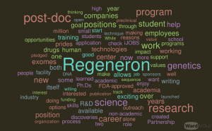 WordItOut-word-cloud-2467943