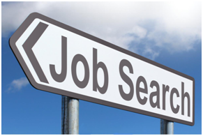 Job Search
