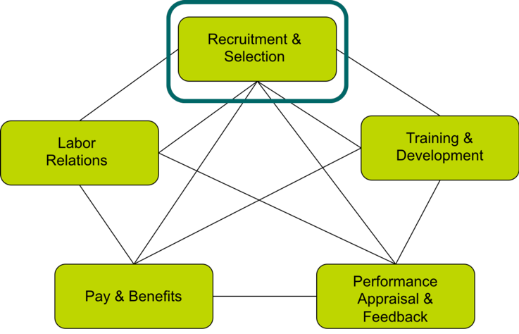Hiring Aspects to Consider for a New Hire. Adapted from Pat Sokolove PhD slides
