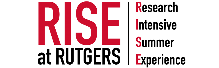 RISE logo